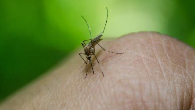 Mücken: Die besten Tipps zum Schutz & gegen Jucken