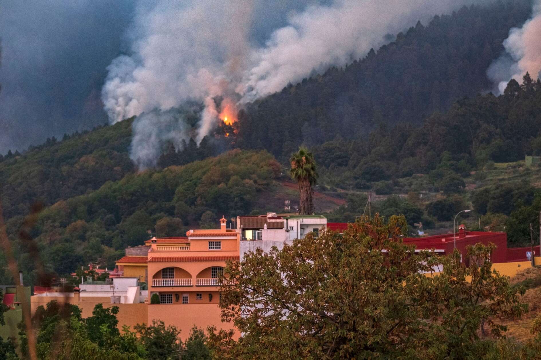 Waldbrand Auf Teneriffa Zwingt Zu Weiteren Evakuierungen