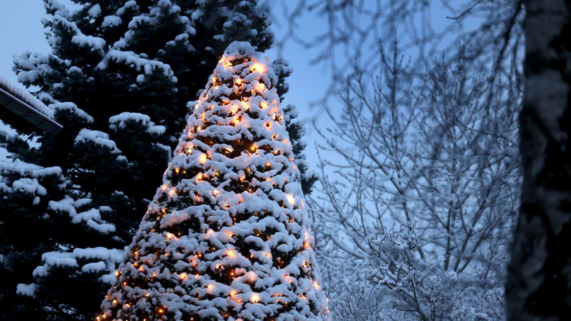 Neuschnee in Südbayern