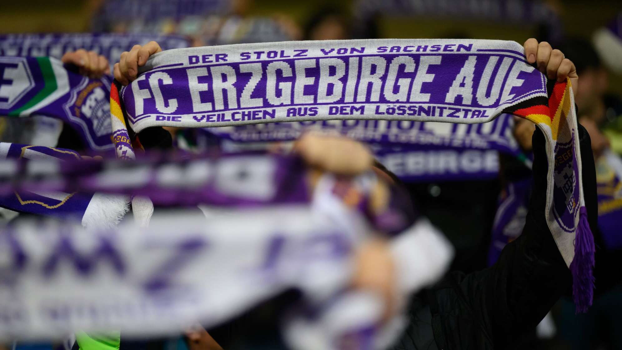 Fans des FC Erzgebirge Aue