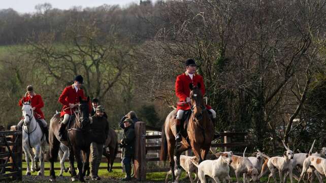 Laute Forderungen nach Jagdverbot in England