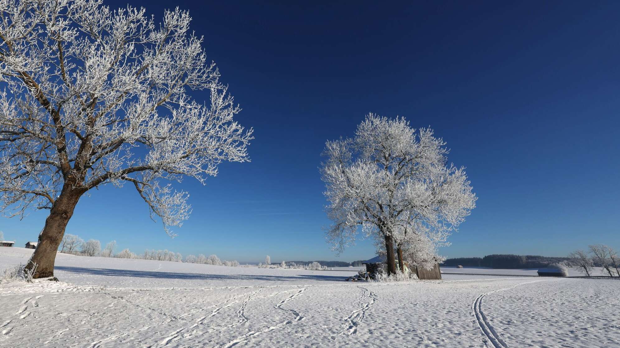 Sonne, Frost und Schnee in Südbayern