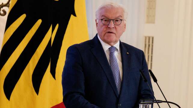 Steinmeier verkündet Neuwahlentscheidung