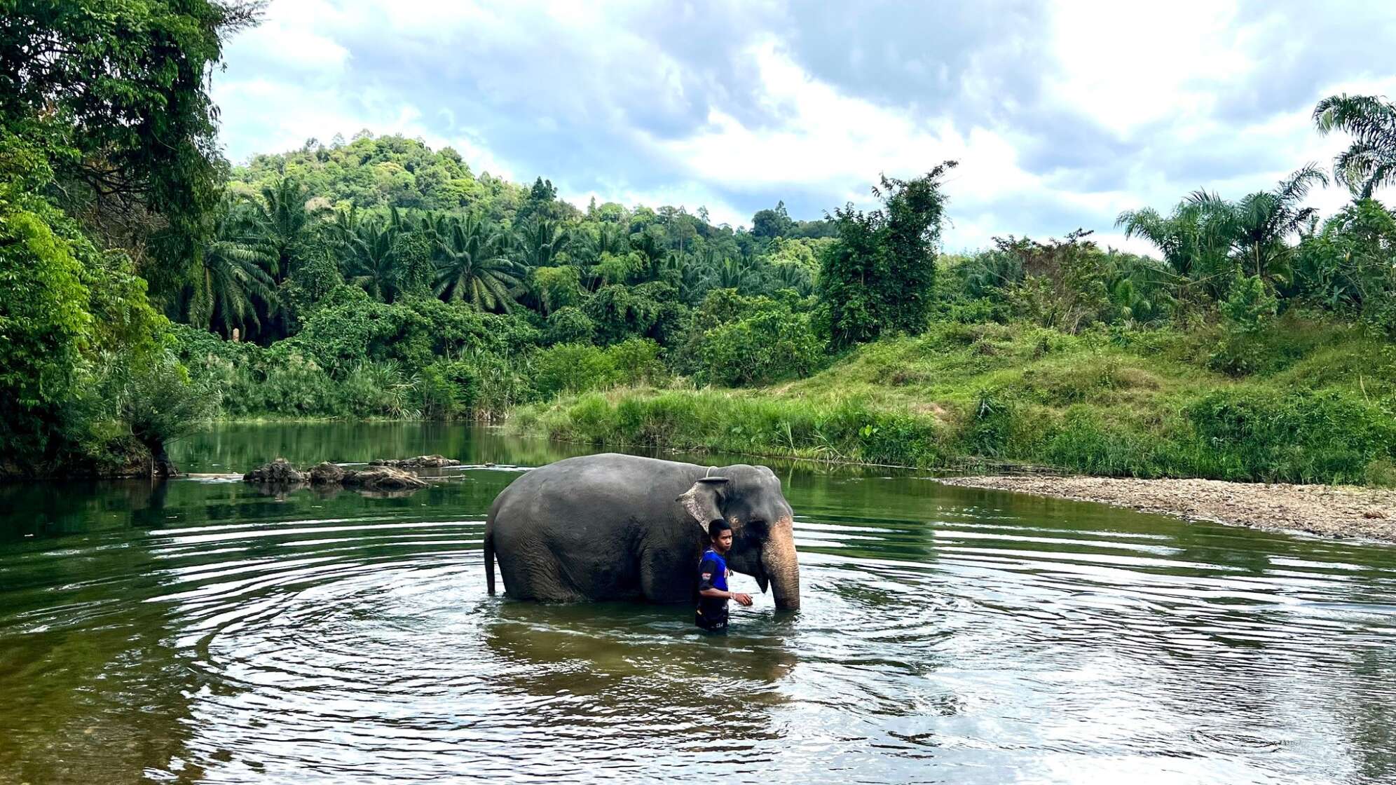 Elefantencamps in Thailand