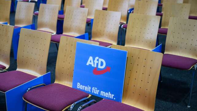 Proteste zum AfD-Parteitag in Riesa gestartet