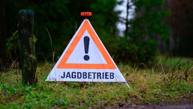 Hund bei Jagd durch illegale Falle verletzt