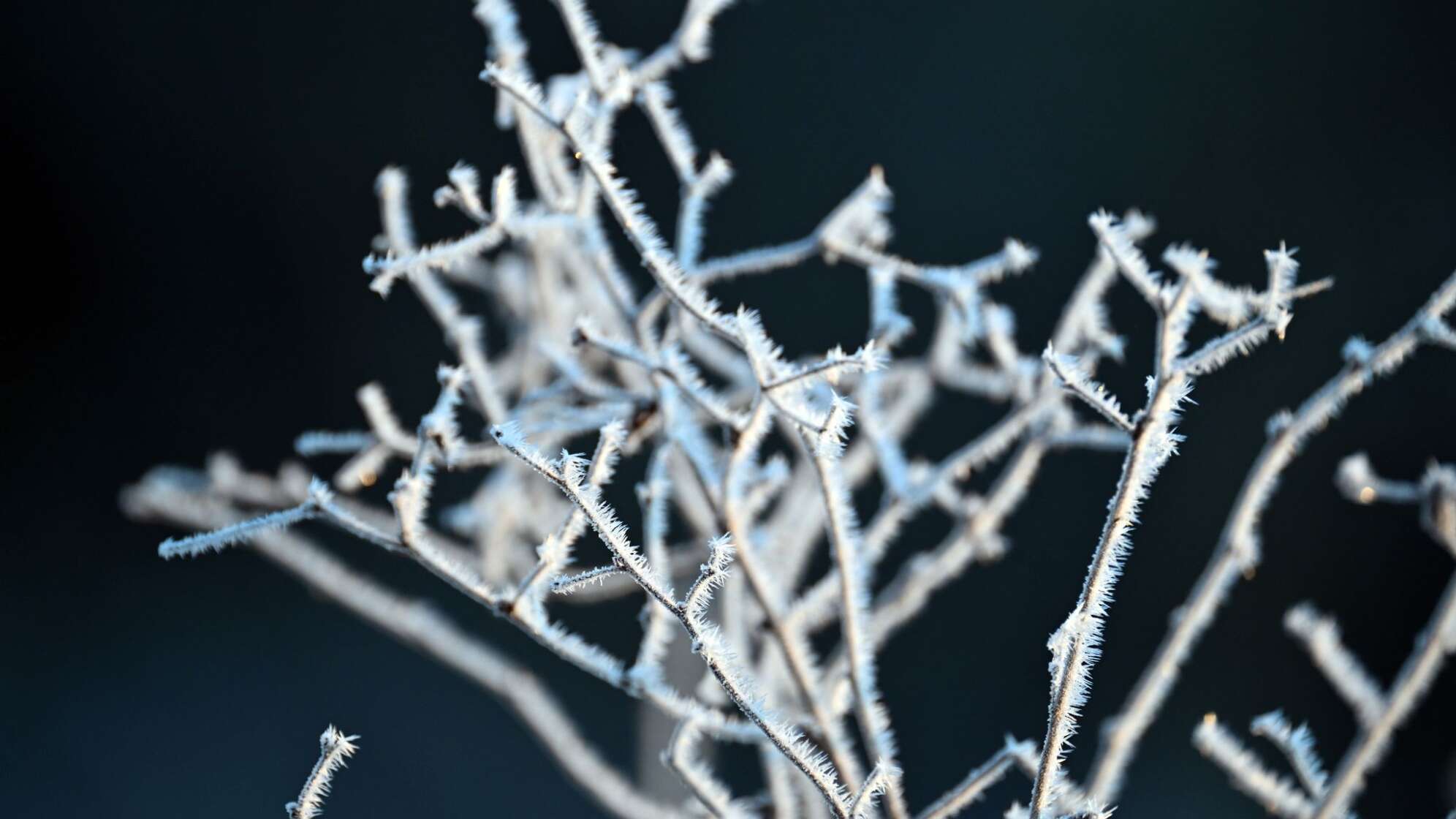 Winterwetter