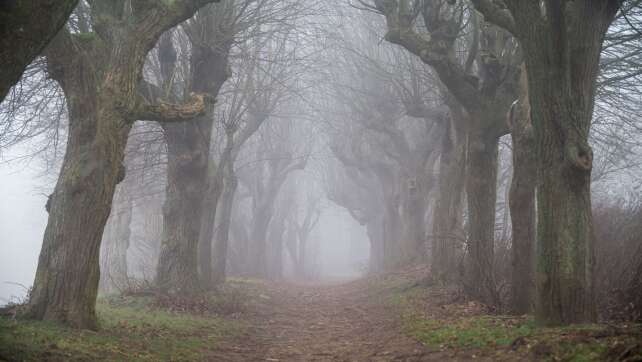 Nebel und kalte Nächte am Wochenende - im Bergland Sonne