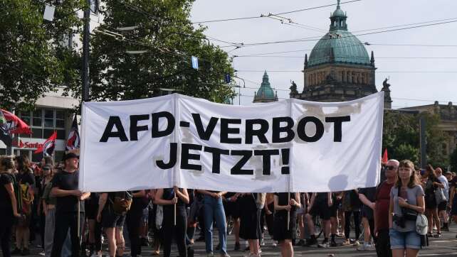 Menschenrechtsinstitut: Chance für AfD-Verbot in Karlsruhe