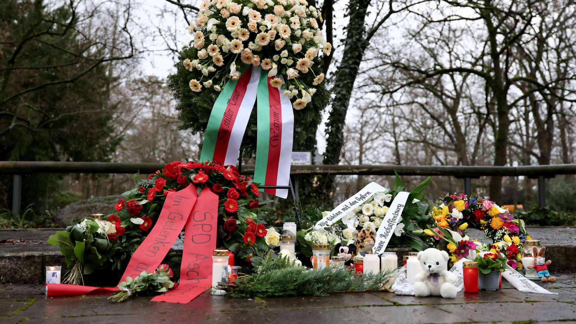 Nach tödlichem Angriff in einem Park in Aschaffenburg