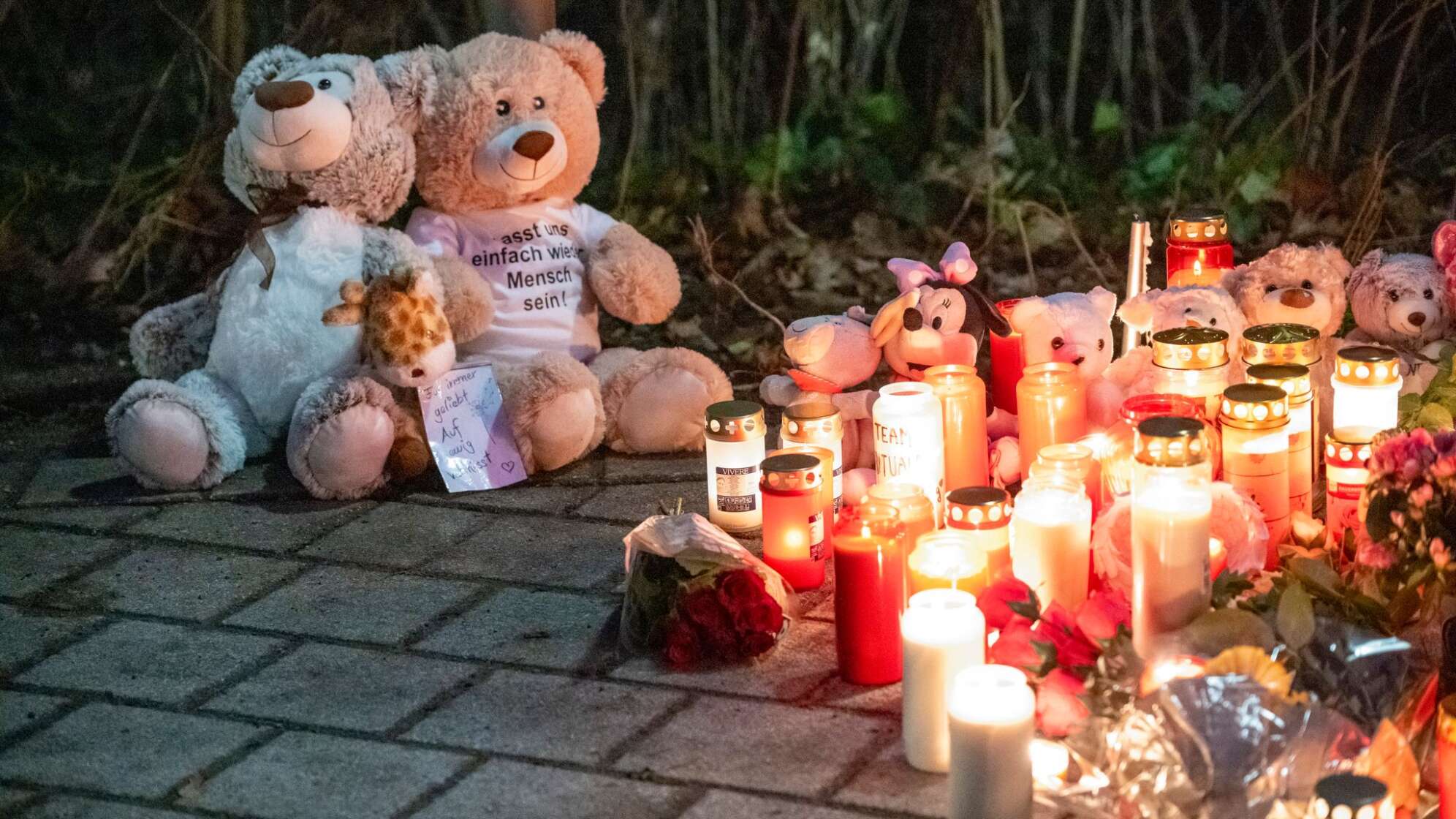 Nach tödlichem Angriff in einem Park in Aschaffenburg