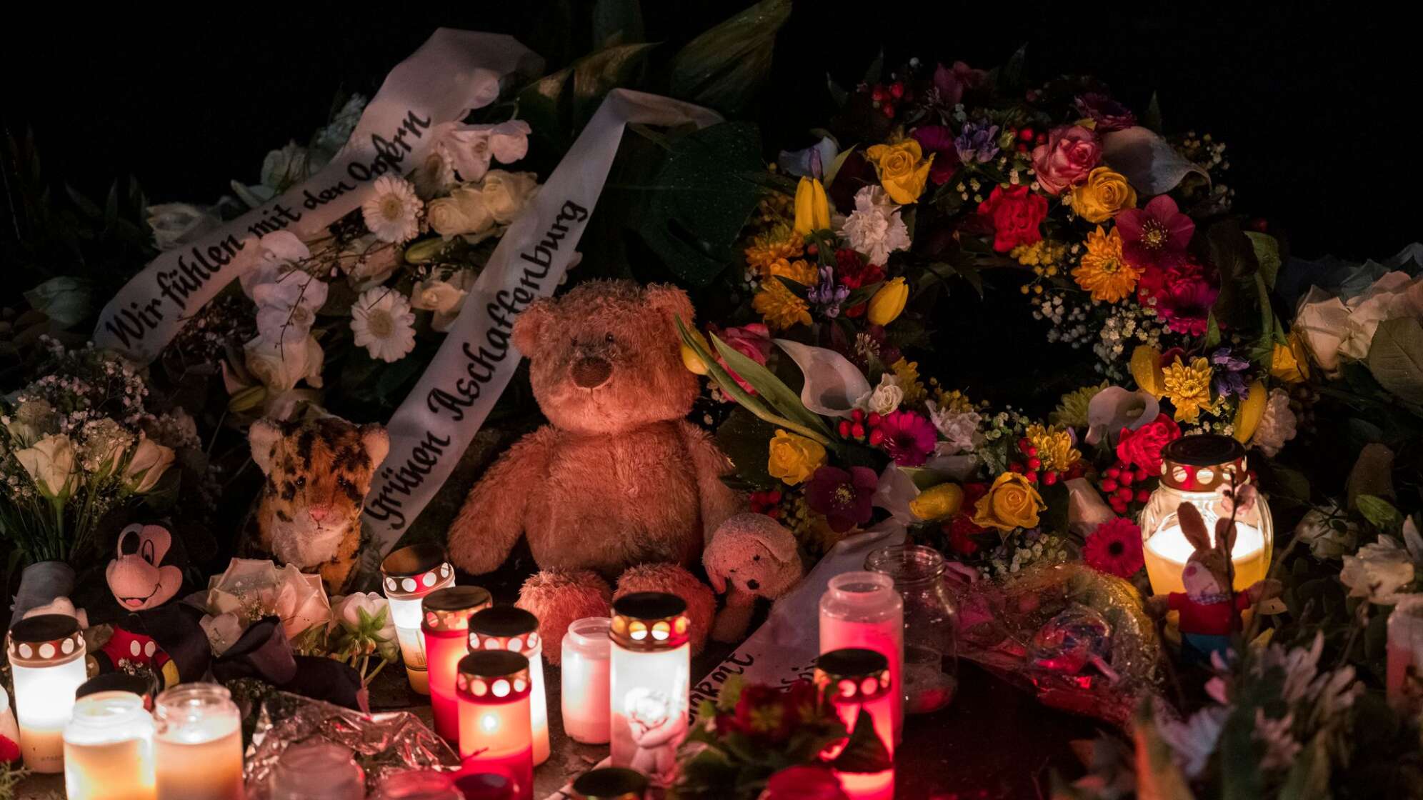 Nach tödlichem Angriff in einem Park in Aschaffenburg