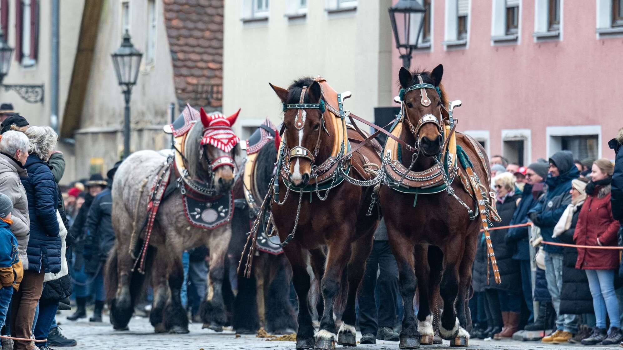 Berchinger Rossmarkt