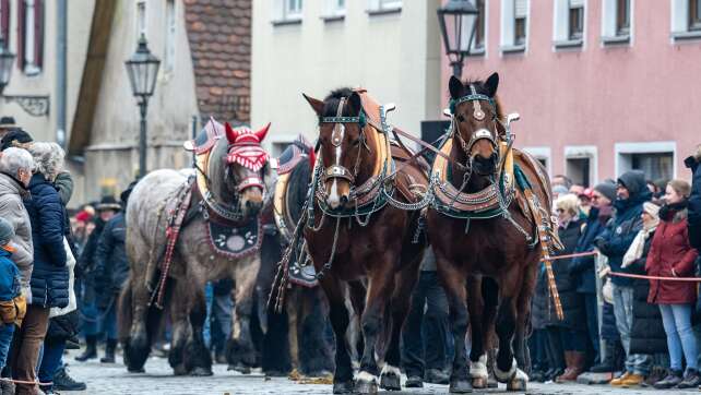 Viele Schaulustige beim Berchinger Rossmarkt