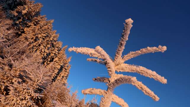 Zahlreiche Glätteunfälle in Bayern - nachts weiterhin Frost