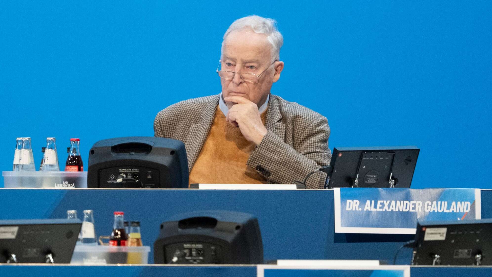 Der AfD-Ehrenvorsitzende Alexander Gauland