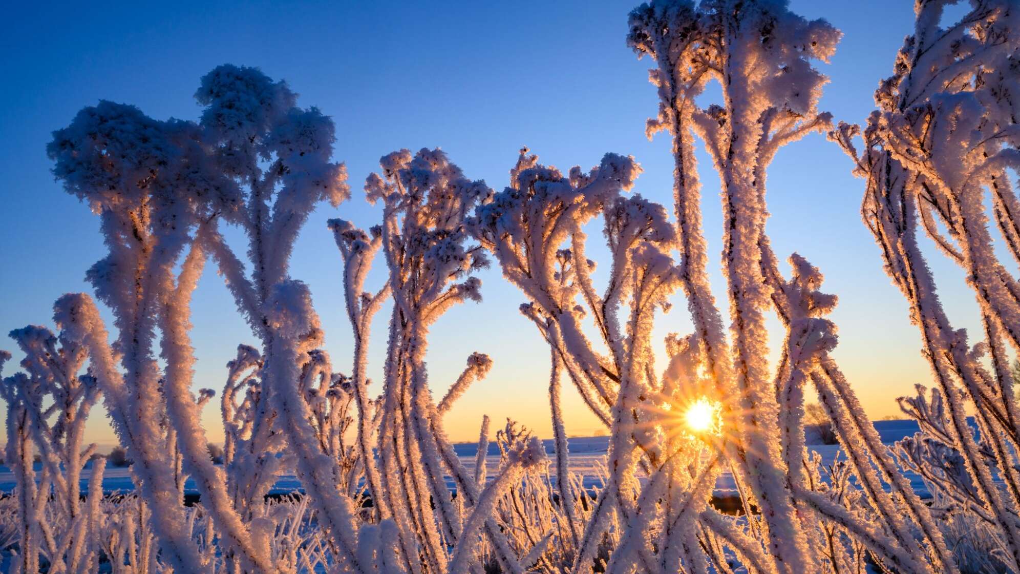 Winterwetter in Brandenburg