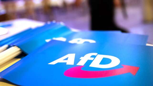 Berichte über Ermittlungen nach Großspende an AfD