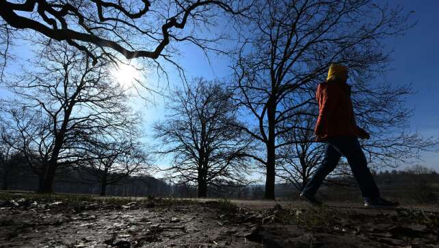 Milder Winter bringt keinen neuen Rekord