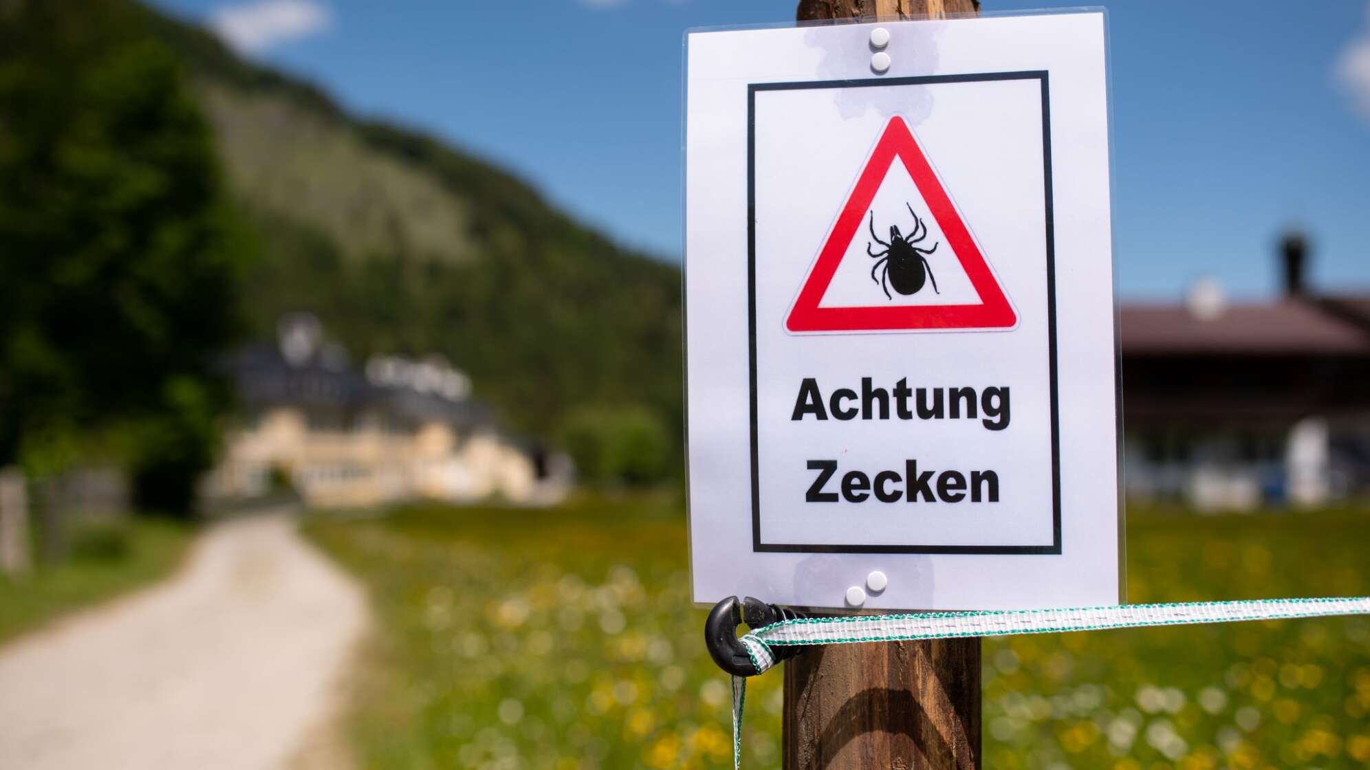 Achtung Zecken