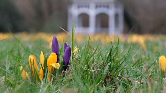 Wetterdienst: «Nun probiert es der Frühling zum zweiten Mal»