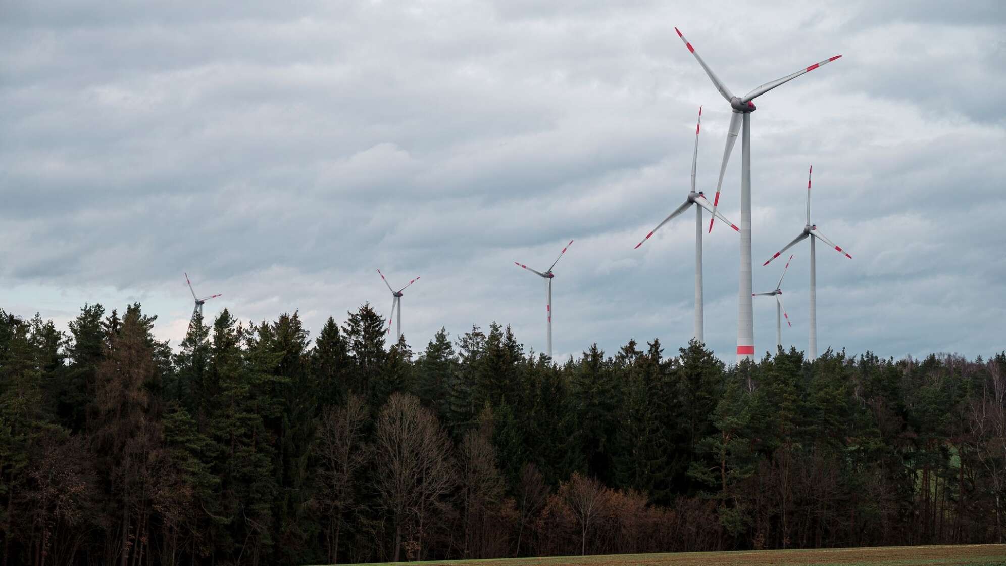 Windkraftanlagen im Lindenhardter Forst