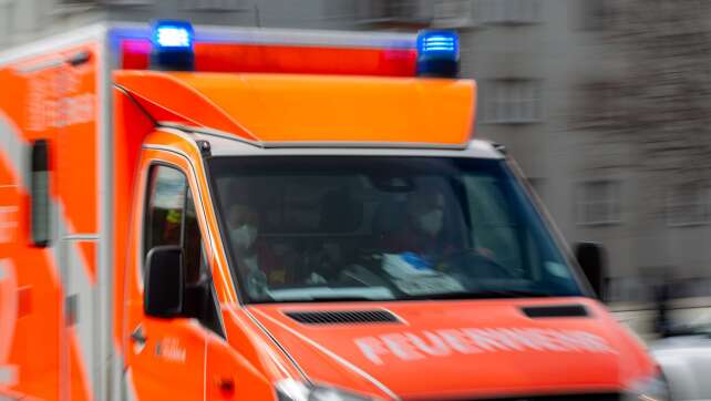 Verletzte und hoher Schaden bei Brand in Hackschnitzellager