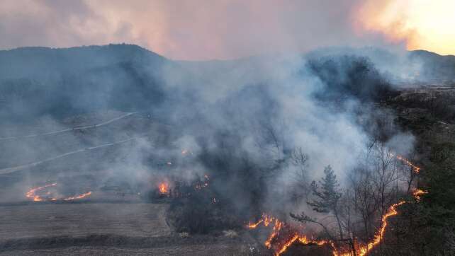 Vier Tote und sechs Verletzte bei Waldbränden in Südkorea