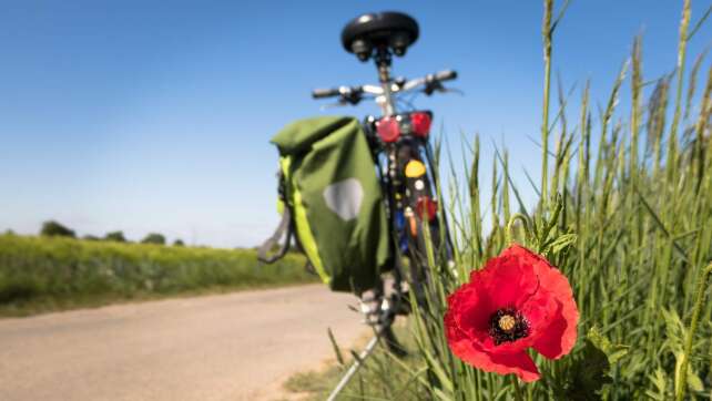 Fahrradtouren für Jung und Alt: Das sind Bayern schönste <br>Radl-Strecken</nobr>