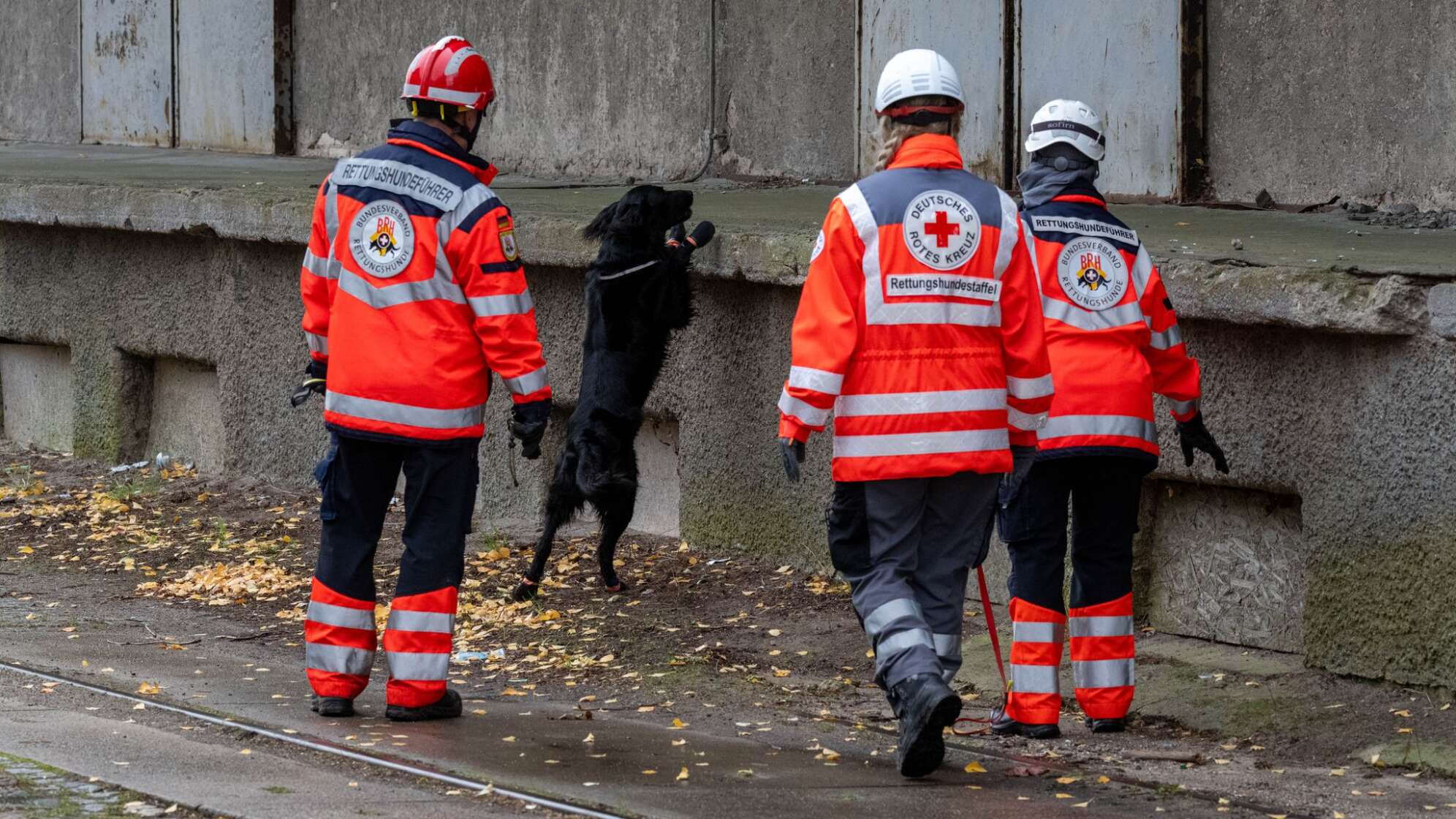 Fortsetzung der Suche nach Achtjährigem aus Güstrow