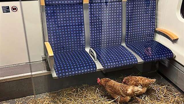 Hühner in Kölner S-Bahn zurückgelassen