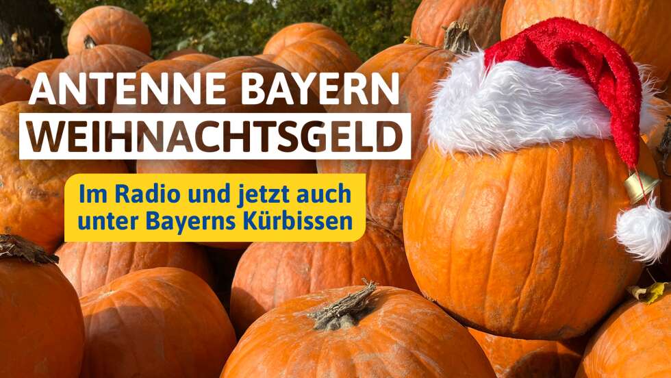 Das ANTENNE BAYERN Weihnachtsgeld: Im Radio & unter Bayerns Kürbissen
