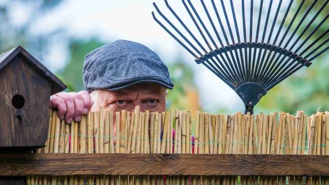 Stress mit den Nachbarn: Was ihr im Garten dürft und was verboten ist