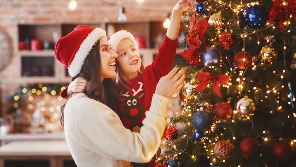 Plastik oder echt bayerischer Baum: Welcher Christbaum ist besser für die Umwelt?