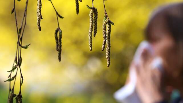 Neuer Heuschnupfen-Helfer: Hier sehen Allergiker in Echtzeit, welche Pollen fliegen