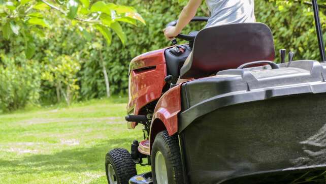 Der Frühling steht vor der Tür: Welche Gartenarbeit muss jetzt erledigt werden?