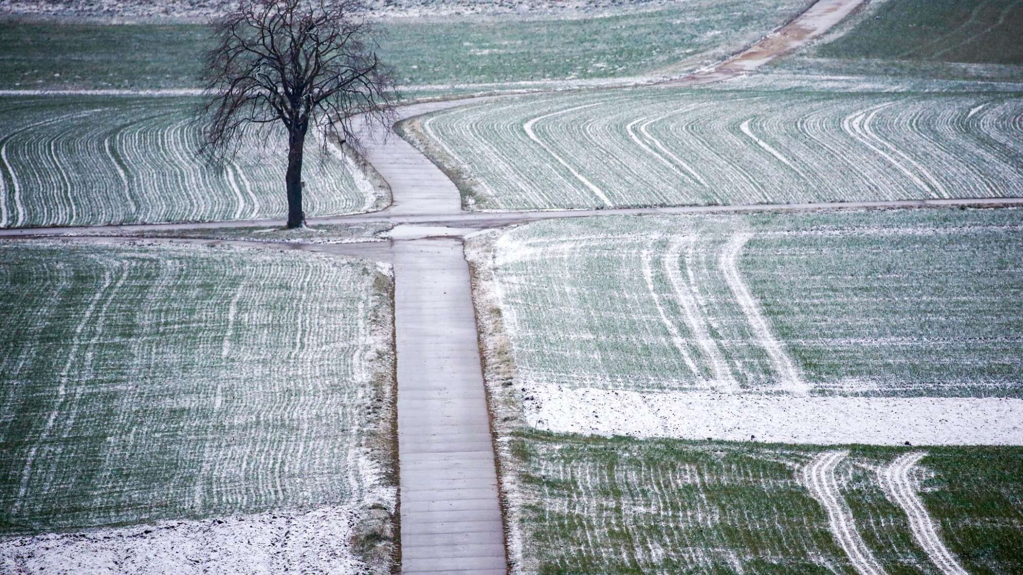 Schlechte Aussichten Auf Weiße Weihnacht: Mildes Wetter