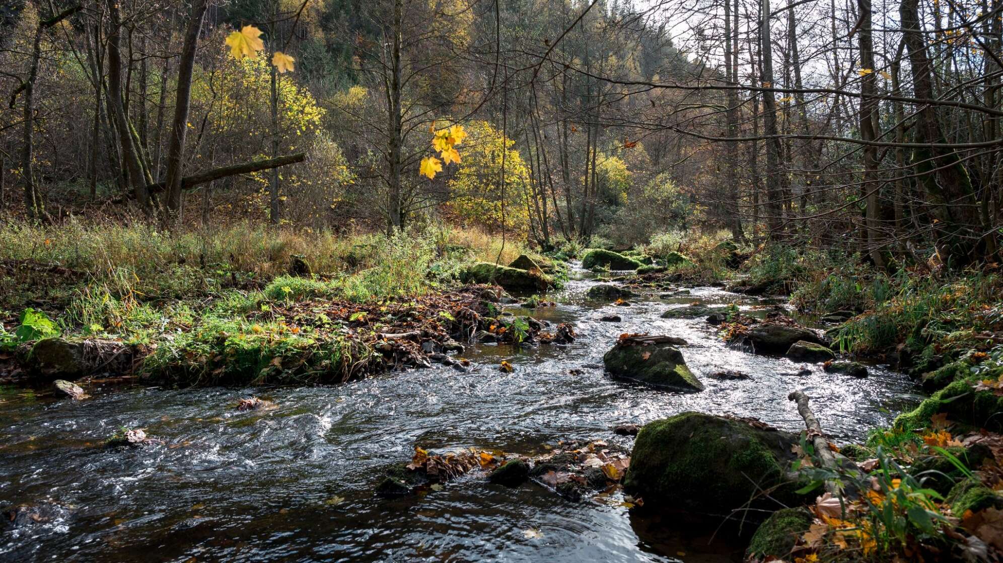 Umstrittenes Frankenwaldbrücken-Projekt