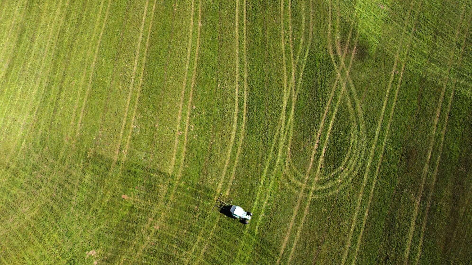 Traktor auf grünem Feld