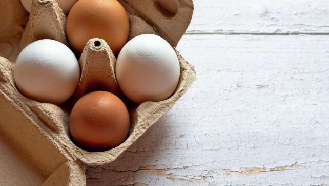 Eier ohne Kükenschreddern: Diese könnt ihr bedenkenlos kaufen