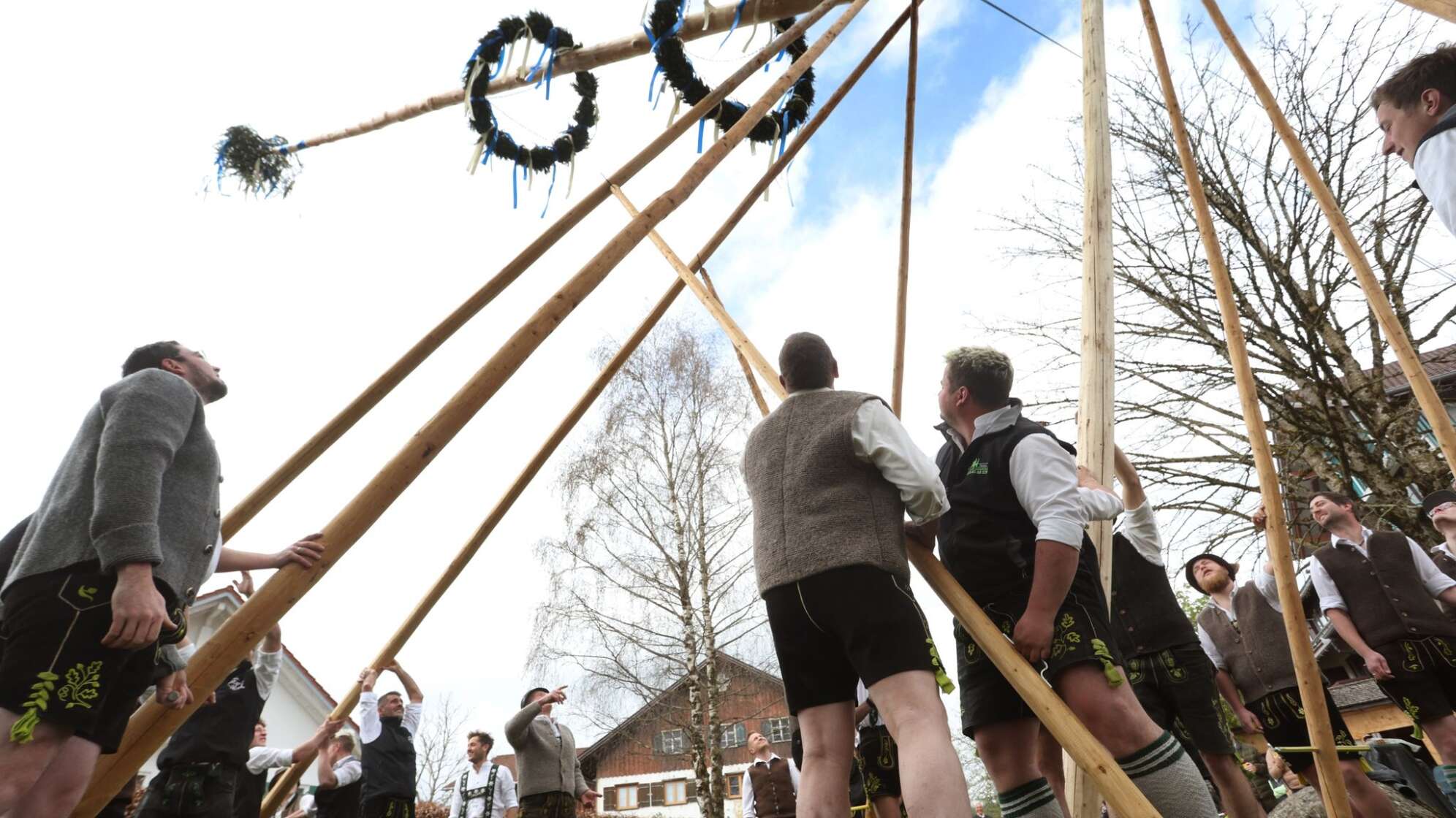 Maibaum wird traditionell aufgestellt