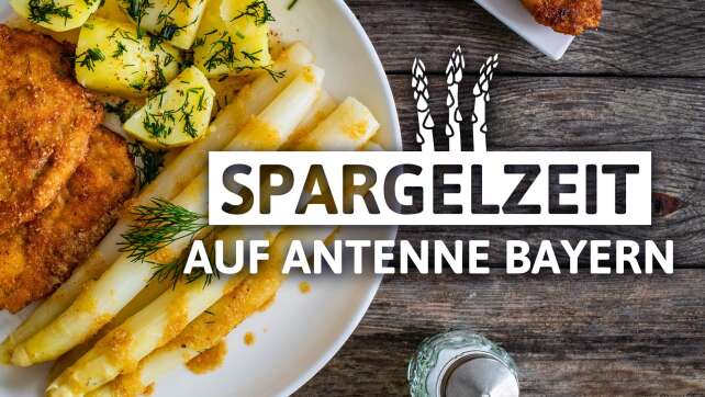 Spargel-Genuss pur: Rezepte für Vorspeisen und Hauptspeisen