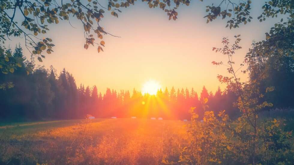 Sommersonnenwende in Bayern: Wie die Sonne eure Gehirnleistung beeinflusst