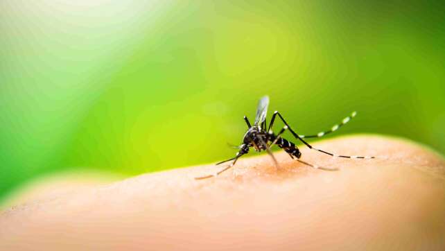 Mücken-Mythen im Check: Was wirklich hilft und was ihr vergessen könnt