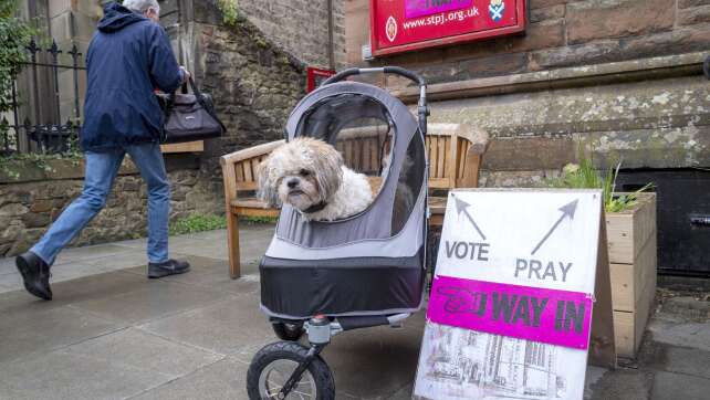 #DogsAtPollingStations: Tierische Wahl in Großbritannien