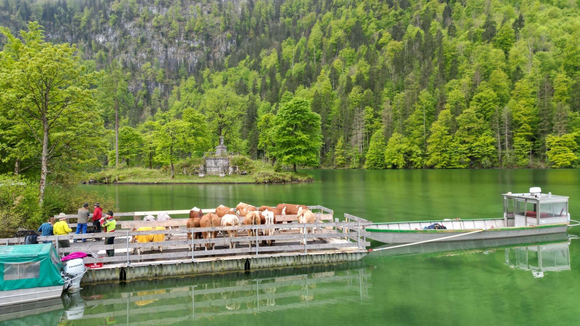 KINA - Jetzt fahr'n wir übern See