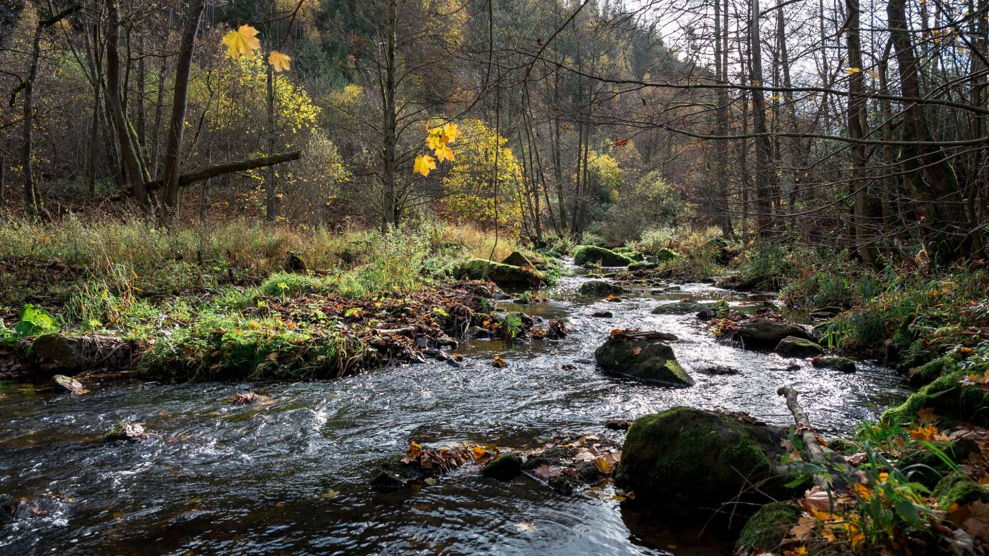 Umstrittenes Frankenwaldbrücken-Projekt