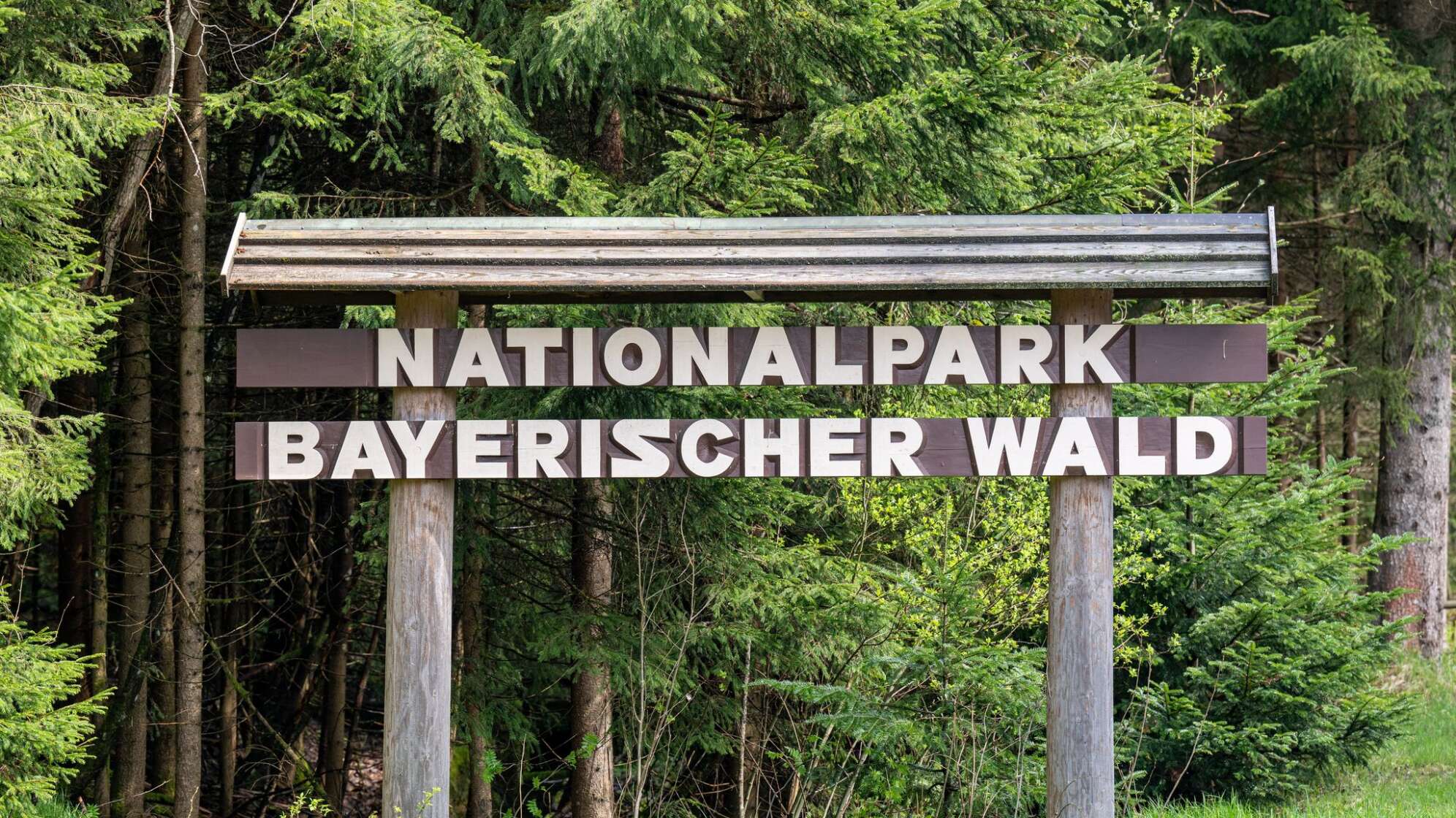 Pressekonferenz im Nationalpark Bayerischer Wald