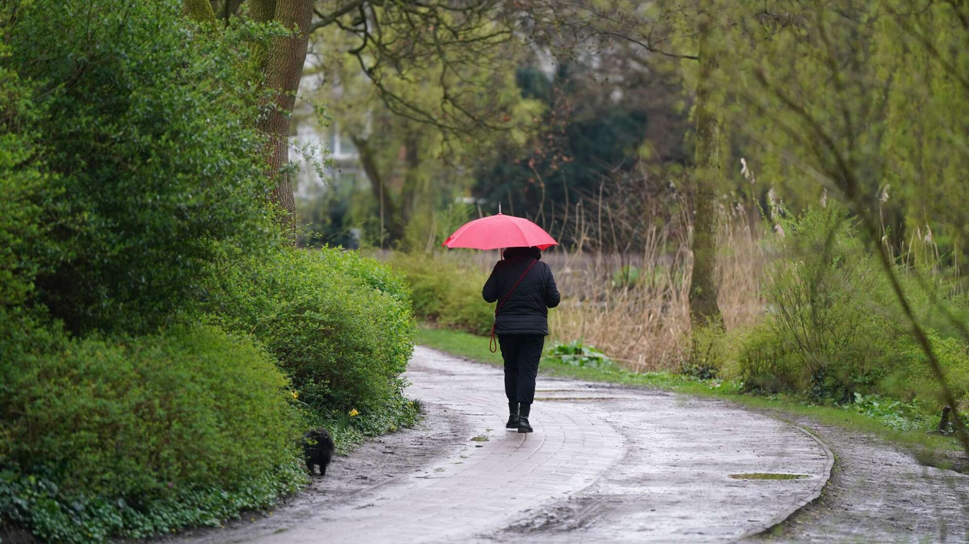 Regen in Hamburg