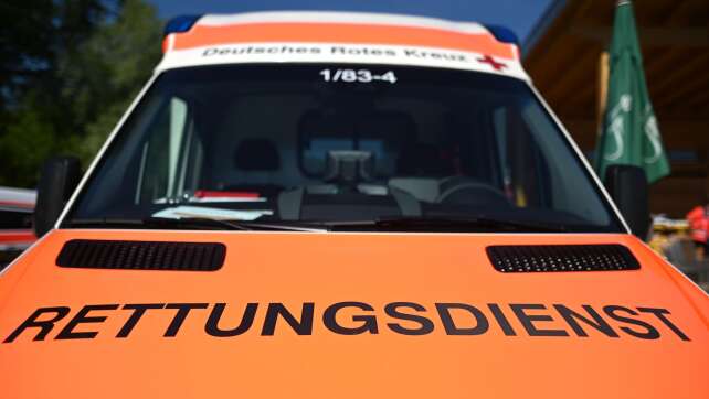 Unfall mit Kutsche am Chiemsee - zwei Verletzte